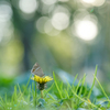 ヒカリに包まれて❁*.ﾟ
