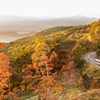 Autumn palette.
