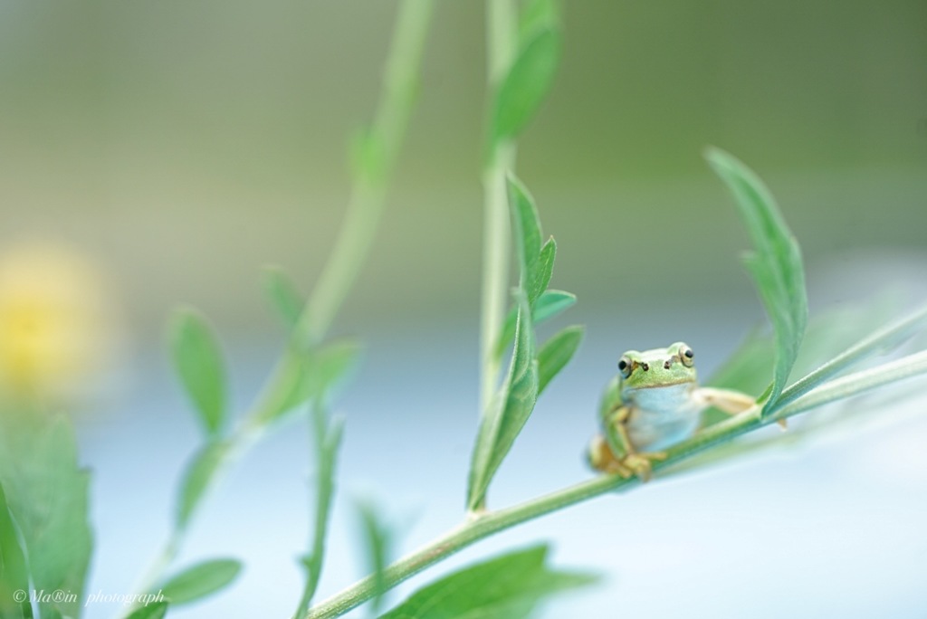 おかえり。o○