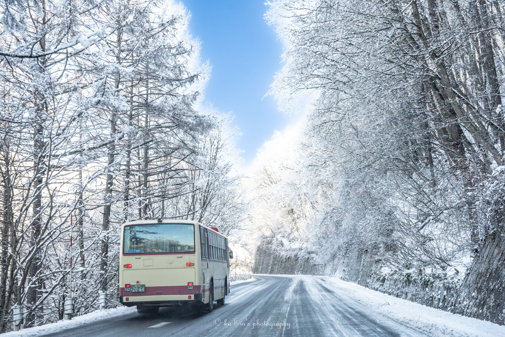 桜月の雪.