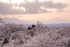 春霞