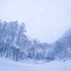 Winter white٭•。❁。.*･ﾟ