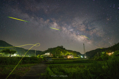 初夏に舞う