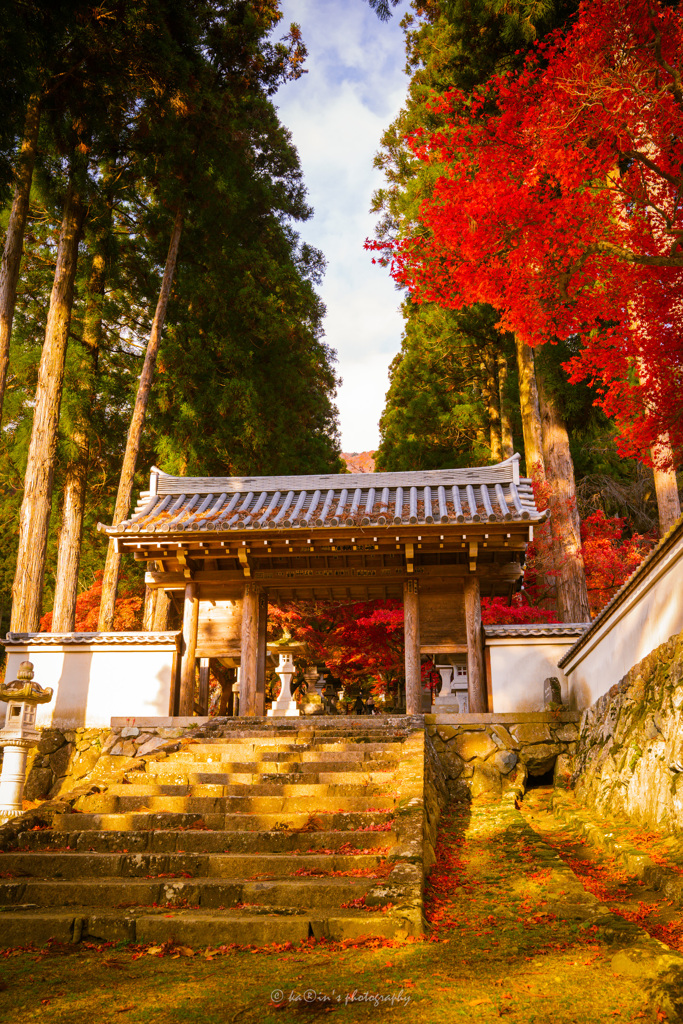 秋の入り口