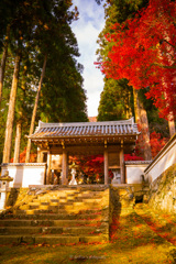 秋の入り口