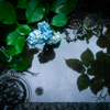 梅雨空