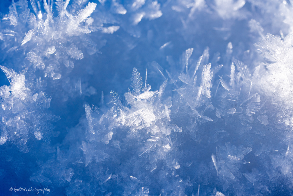 snow crystal.