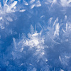 snow crystal.