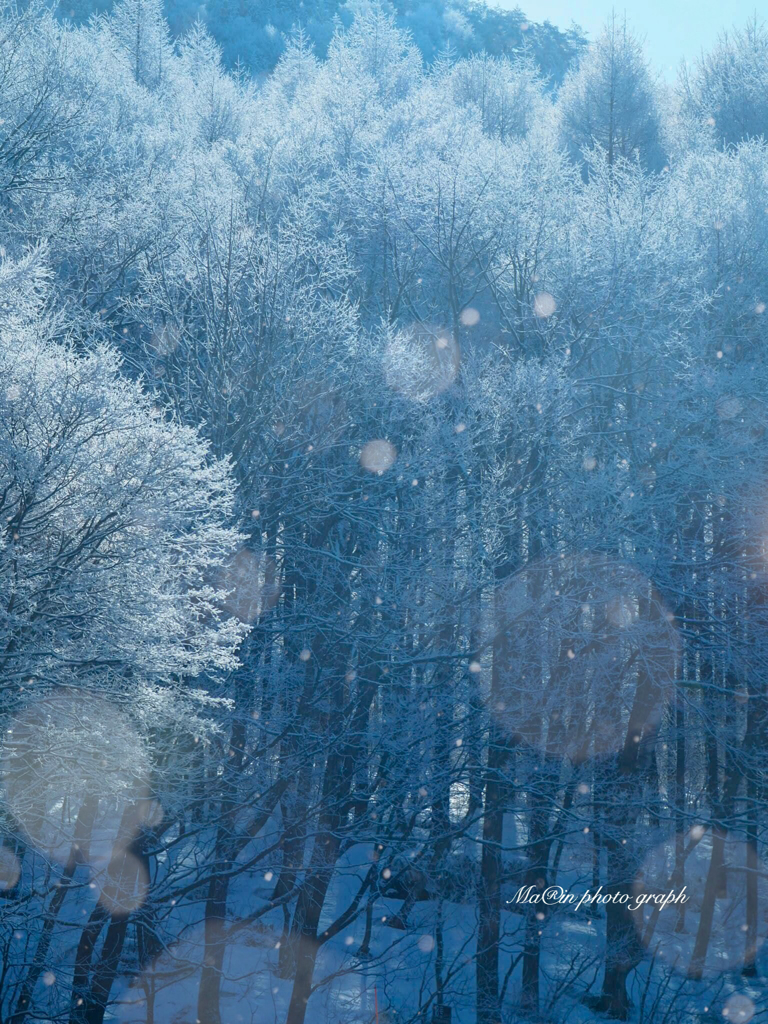 雪