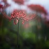 色を重ねて゜:。* ゜.
