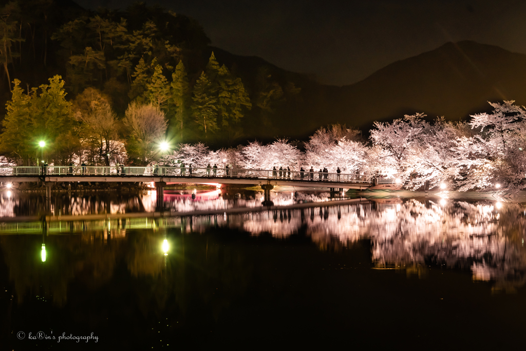 桜色舞うころ.