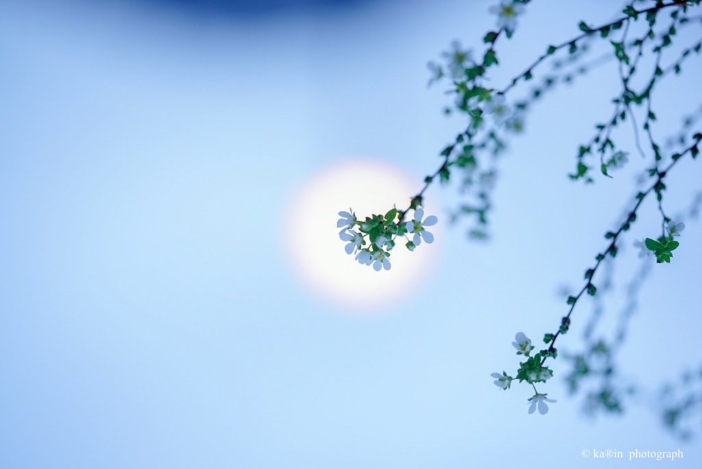 雪の夜