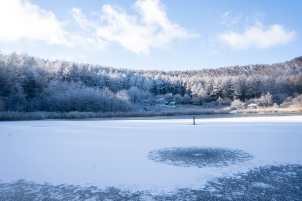 Morning of the snow.