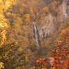 Autumn palette