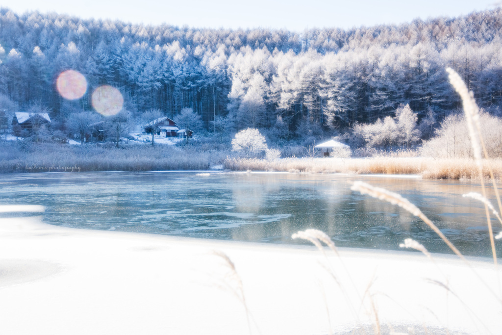 冬の煌めき ✽.｡.:*・ﾟ