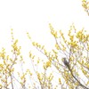 ソラへ❁
