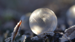 Freezing soap bubbles: