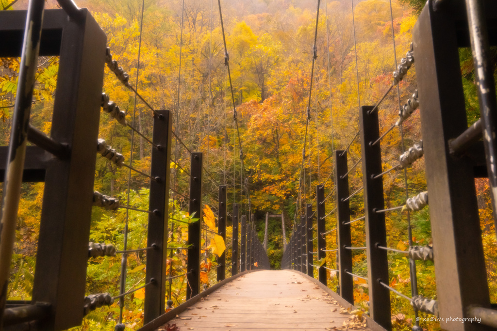 Autumn invitation.
