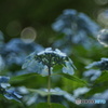 藍色*:ஐ