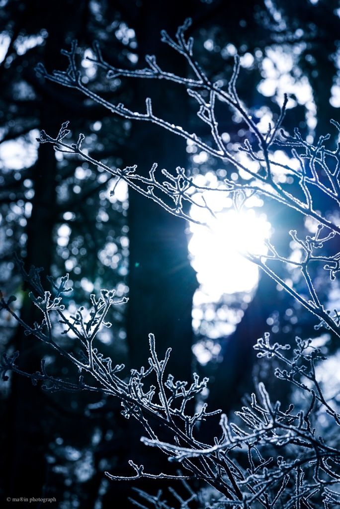 雪の華ﾟ･*:.｡❁