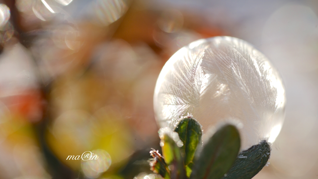 crystal of snow*:ஐ