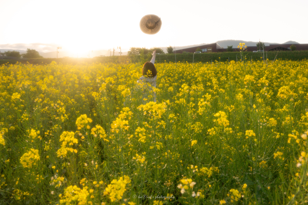 夕陽に向かって.