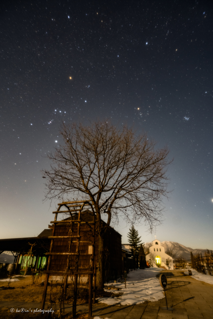 星降る夜に