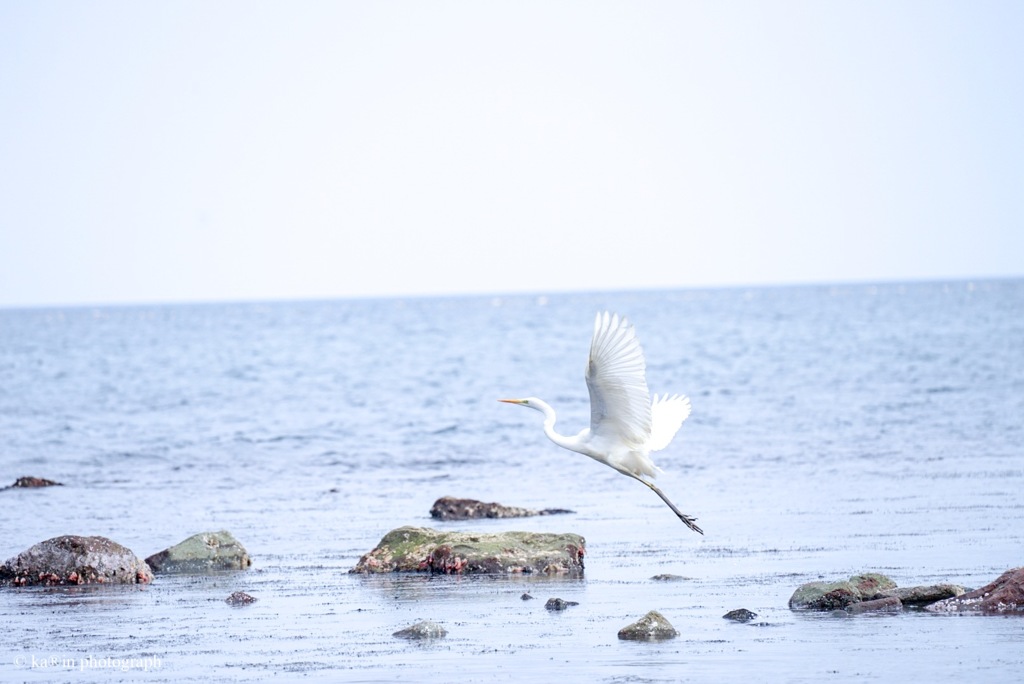 はるの海❁⃘*.ﾟ