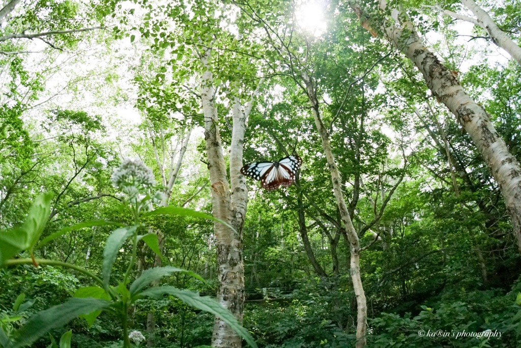 また…君と   ゜:。* ゜.❤︎