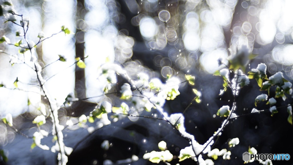 snow•*¨*•.¸¸