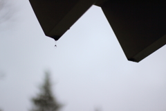 雫　１