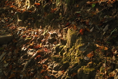 登山道