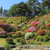 塩船観音寺