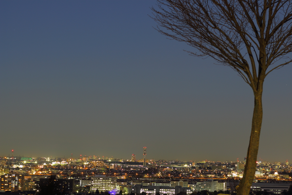 夕日の見える丘公園より２