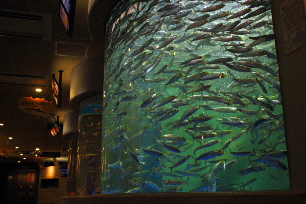 水族館