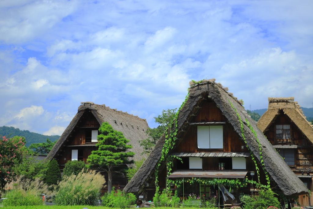 白川郷