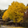 岡崎別院