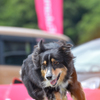 LR-DSC_6988