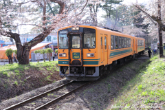 桜の下の走れメロス