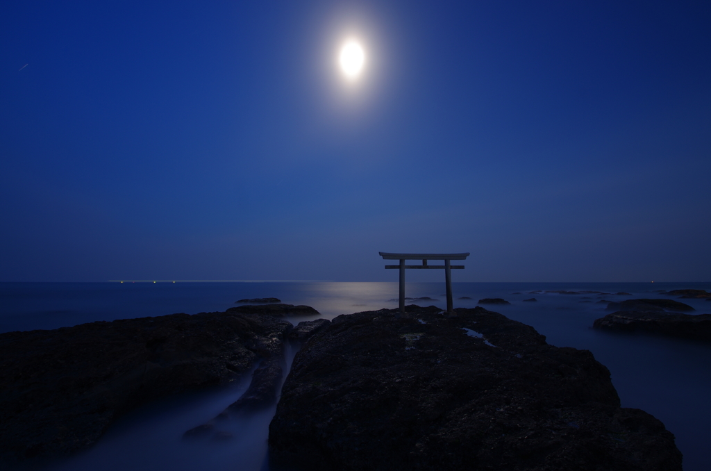 夜の大洗の鳥居たち