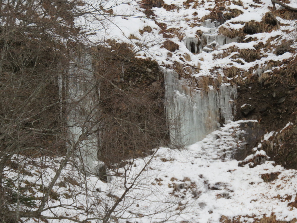 IMG_0010 (2)