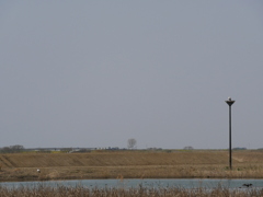 P1370672