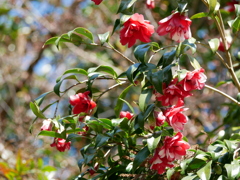 P1370716