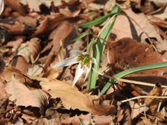 DSCN3658