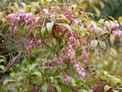 P1370065