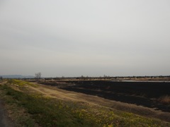 DSCN7458