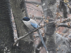 DSCN2710
