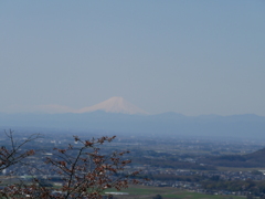 P1370707