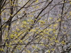 P1360991