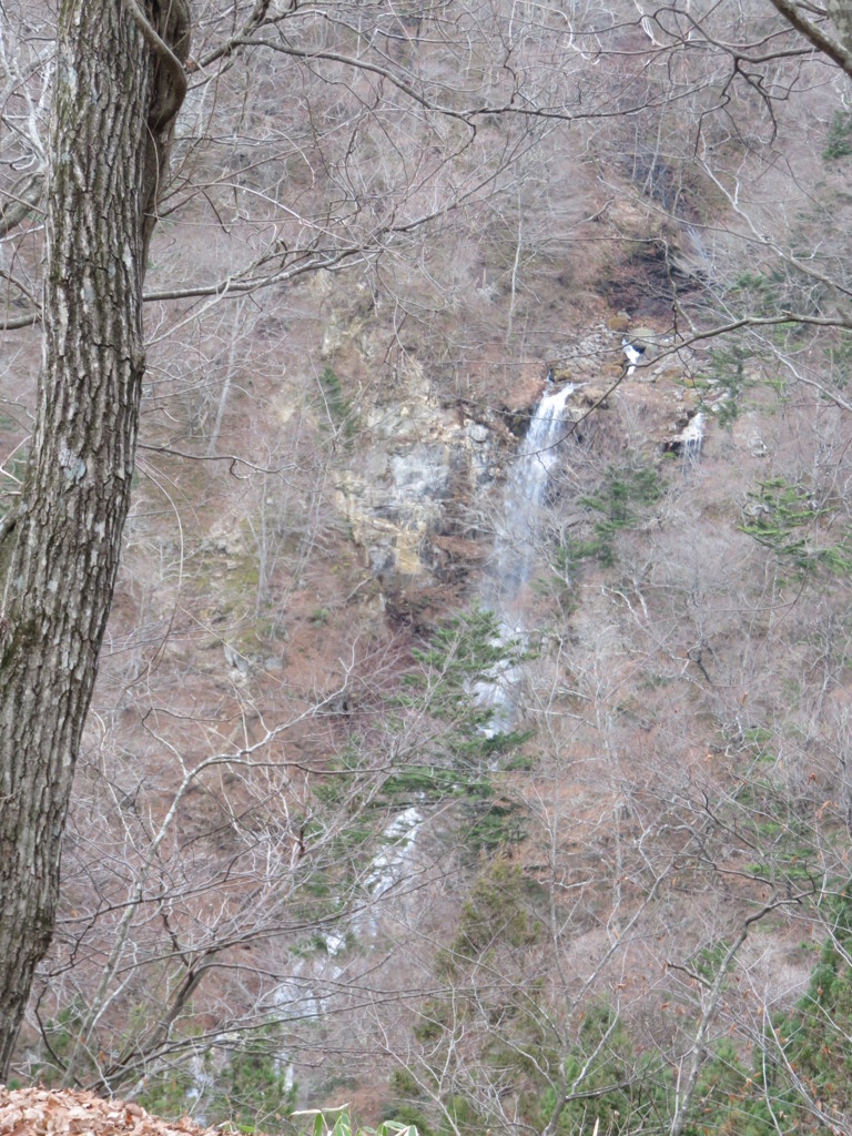IMG_0018 (3)